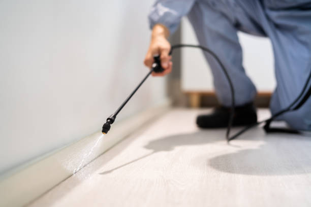 Bed Bug Pre-Treatment Preparation Assessment in Washburn