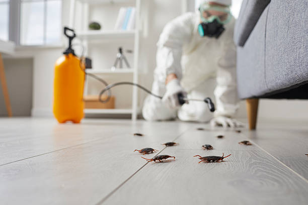 Post-Treatment Bed Bug Interceptor Monitoring in Washburn
